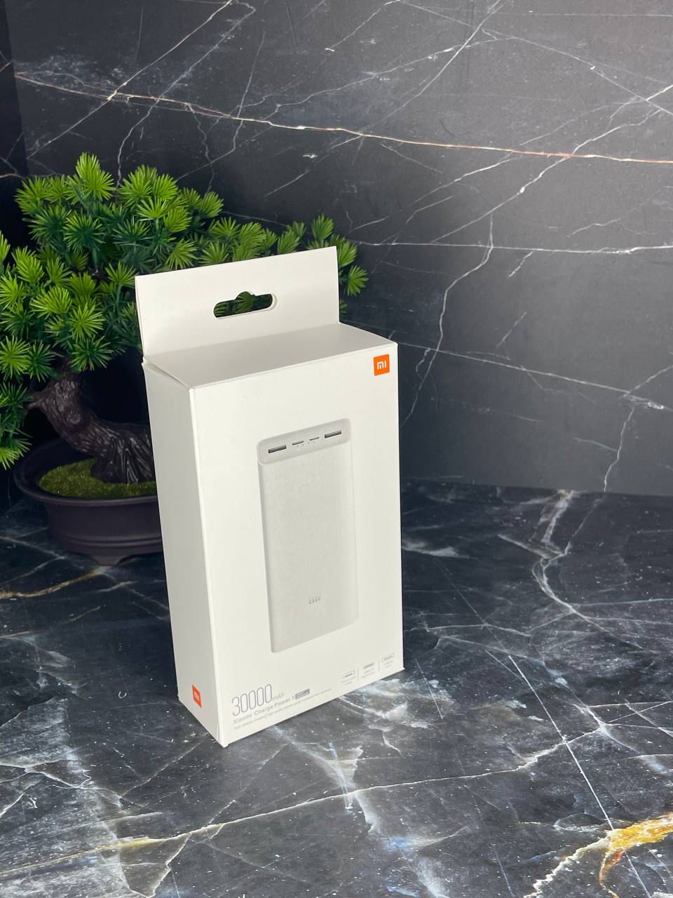PowerBank Xiaomi 30.000 mAh Fast Changer (Black)